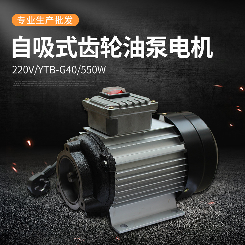 离心泵 铝合金电动齿轮交流抽油泵电机220VYTB-G40550w离心油泵