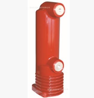 EP-12/1250-25真空灭弧室固封极柱（VSM用）图1