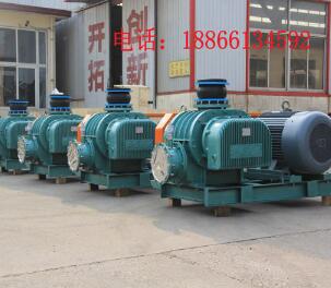 罗茨风机|工业除尘风机|除尘罗茨风机图1