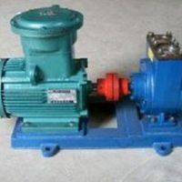 泰盛不锈钢转子泵价位低品质好