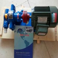 凯林专业生产齿轮泵kcb-83.3 微型 卫生 无泄漏油泵 kcb齿轮泵