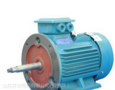 管道泵用专用三相异步电动机