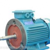 管道泵用专用三相异步电动机