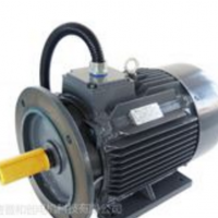 诸暨【Hiest】和创 空压机专用 永磁节能同步变频电机 一级能效