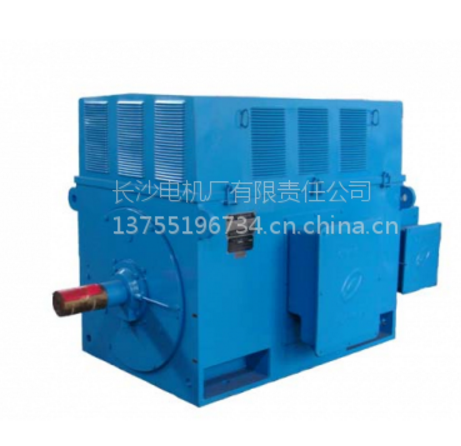 长沙电机厂有限责任公司电机