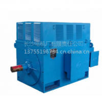 长沙电机厂有限责任公司电机