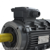 六安江淮高效铝壳电机