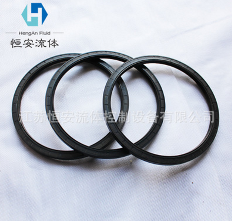 骨架油封 厂家专业生产 高品质 防腐蚀耐高温 经久耐用 量大从优图1