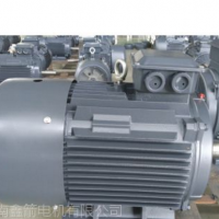 供应济南鑫箭110KW-6钢铁厂水泥厂专用纯国标耐高绝缘度三相异步电动机