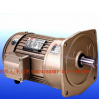 YK永坤电机立式齿轮减速电机NCV22-200-60S