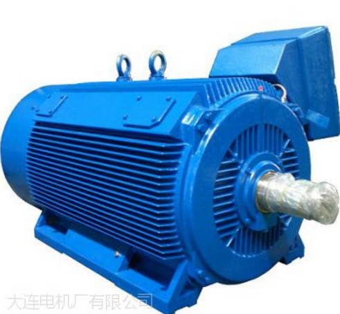 大连电机厂MD1C三相异步电动机大连电机厂MD1C315S-4电机图1
