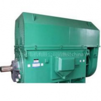 供应大连电机厂YLKK系列高压电机