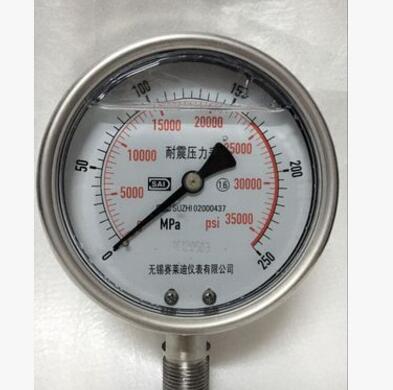 无锡赛莱迪不锈钢耐震高压压力表YN-100BF 250MPa超高压压力表