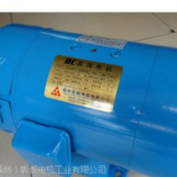 彰毅直流电机125Ｂ-2　（卧式安装/立式安装）
