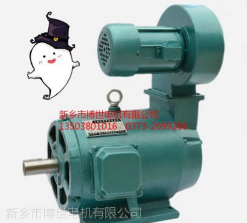 河南起重机防摇摆电机产品性能介绍图1