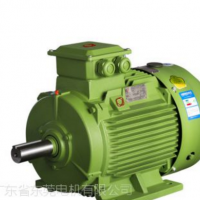 广东节能电机/广东高效节能电机-YE3电机