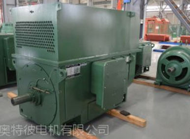 中型高压三相异步电动机图1