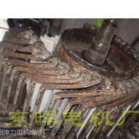 供应Z4-315--31系列电机维修