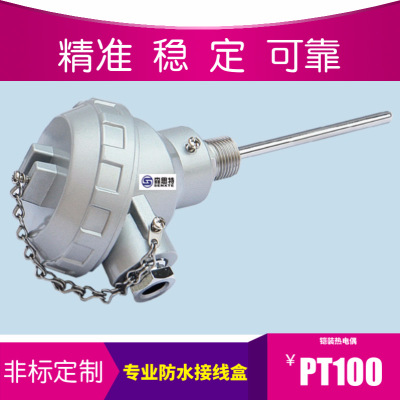 工厂高温高精度 K型铠装热电偶 PT100温度传感器
