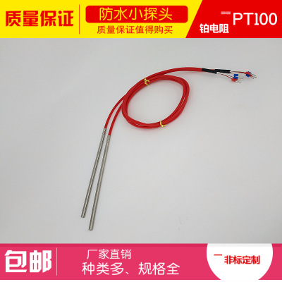 WZPT系列非标列耐酸碱铂热电阻 Pt100 WZPT-100 防腐蚀热电阻图1