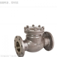 中国百普铸钢止回阀H44H带材质