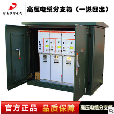 恒宇电气 现货特卖10KV电缆分支箱 DFW-12户外高压电缆分线箱图1