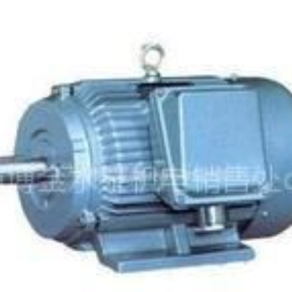 供应山东省滨州市东营市潍坊市销售批发三相异电动机图1