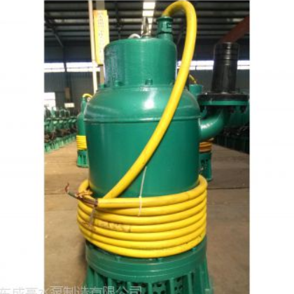 【山东成亮】BQS80-20-11 矿用隔爆潜污泵