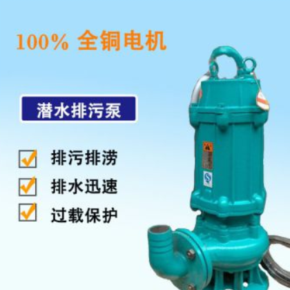 广州直销新瑞洪泵业11kw排污泵农业灌溉水泵耐腐蚀潜水泵