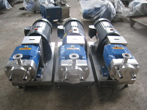 泊头市猛通泵业/316不锈钢凸轮转子泵