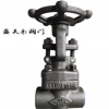厂家直销 锻钢阀门碳钢闸阀 Z61H-800LB 小体 承插、螺纹闸阀