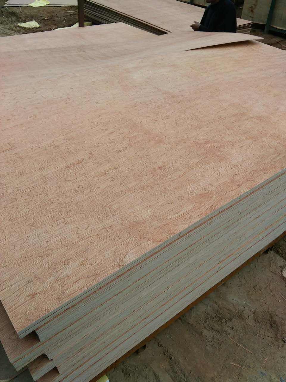胶合板/泽运板材