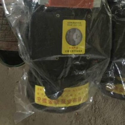 金皖泵业 污水泵杂质泵