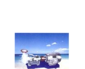 沃曼、WFB型无密封自控吸泵