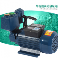 专业批发生产旋涡式自吸电泵ZB 大明王子耐用边立式家用农用水泵
