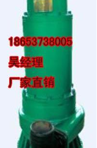 BQS120-50-30 N 常用潜水泵