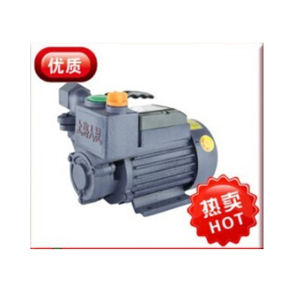 WZB漩涡式自吸泵 家用 高压泵 增压