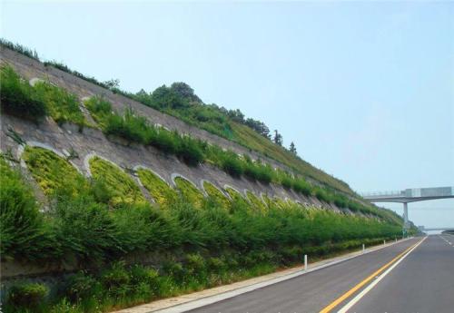 山东边坡绿化无纺布厂家价格|聚福源包装图1