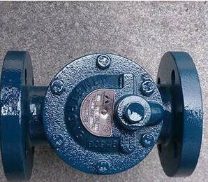 阿姆斯壮疏水阀881系列图1