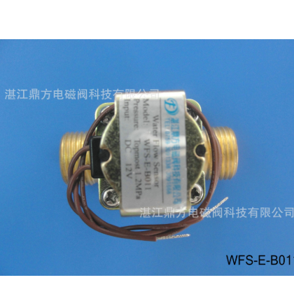 湛江鼎方供应校园水控系统一卡通系统用耐高温电磁阀WFS-E-B011