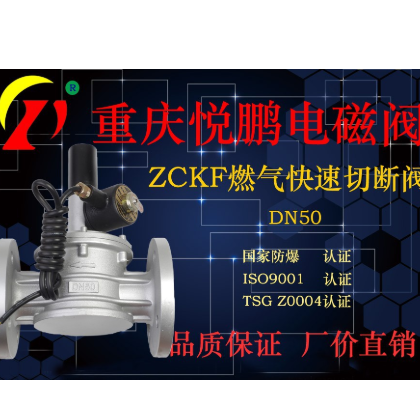 ZCKF电磁阀 燃气电磁阀 防爆紧急切断电磁阀DN50