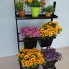 漯河鲜花展示架/青岛笔尖创意设计