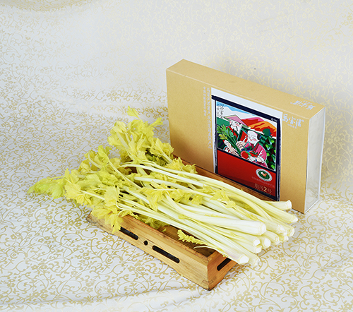 山东平度马家沟芹菜批发/青岛马家沟生态农业图1