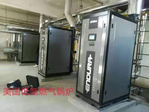 低氮燃气锅炉厂家/唐山传能环保科技有限公司