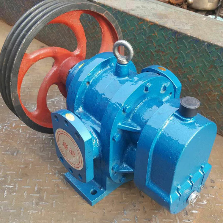 罗茨泵/恒烨工业泵