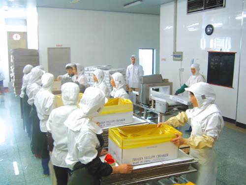 马来西亚出国劳务-速达-沙特出国劳务