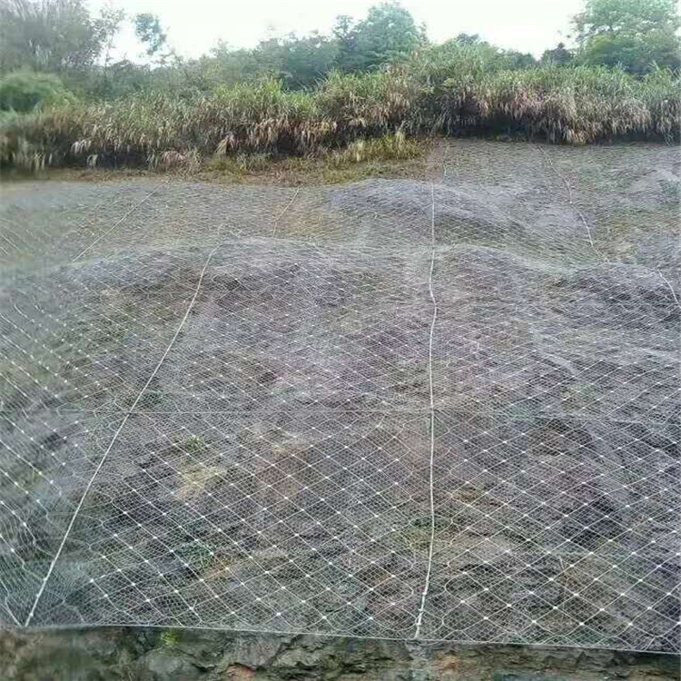 防落石的网A介休防落石的网A防落石的网厂家哪家好