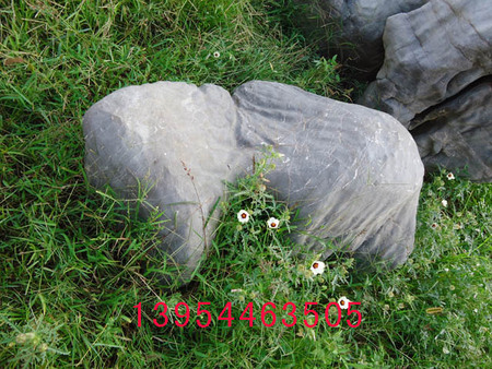 费县风景石厂家/临沂市禾鼎园林技术有限公司