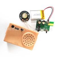 供应充电震动性用品音乐模块 音乐机芯 语音机芯 发声机芯