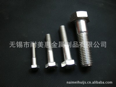 厂家直销 304不锈钢螺丝 螺栓 紧固件 标准件 连接件 M8 M10 M12